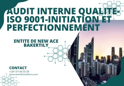 AUDIT INTERNE QUALITE-ISO 9001-INITIATION ET PERFECTIONNEMENT